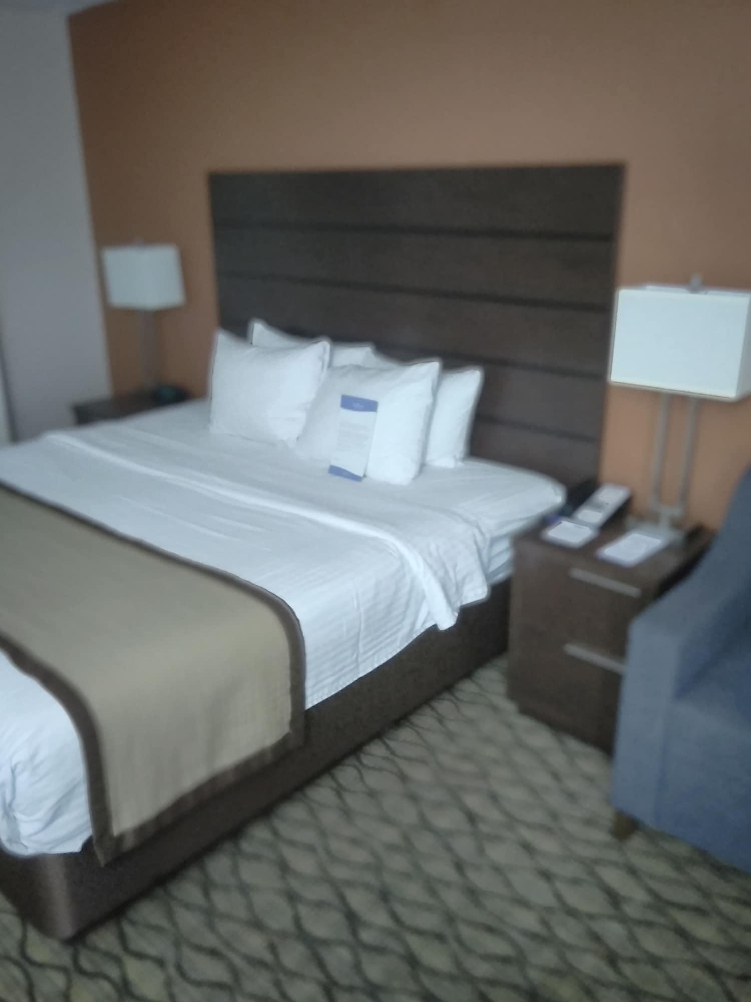 Baymont By Wyndham Madison Heights Detroit Area Ξενοδοχείο Εξωτερικό φωτογραφία